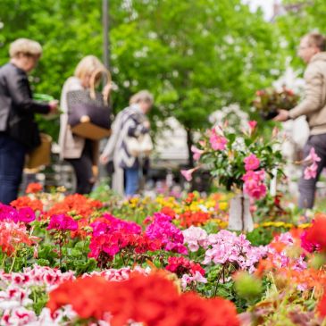 Marché aux fleurs d'Epernay