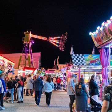 Fête foraine au Millesium