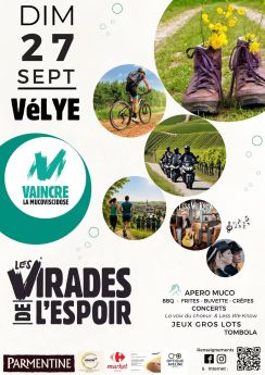 Virade Vélye