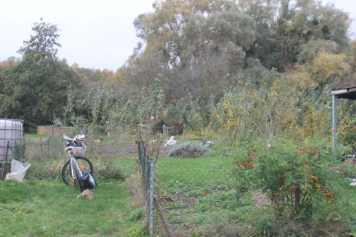jardin22