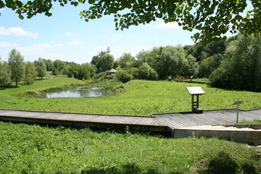 jardin humide Chouilly