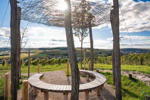 Jardin de vignes Vinay