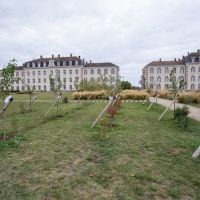 40 nouveaux arbres fruitiers place du 13e RG