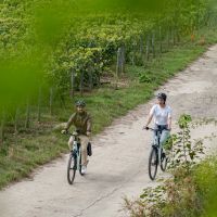 Champagne : le goût de la hauteur