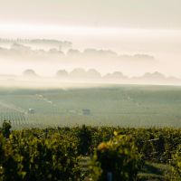 Champagne : le goût de la hauteur